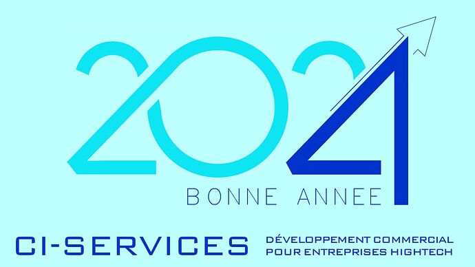 Bonne annee 2024