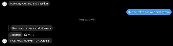 Capture d’écran 2024-10-24 122320