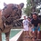 Guillaume_Mcn